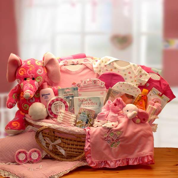 baby gift basket, new baby gift, new baby basket, baby basket, newborn baby gift